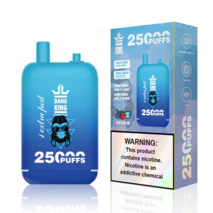 Bang King 25000 Disposable Vape Wholesale Bang King 25000 Disposable Vape Wholesale
